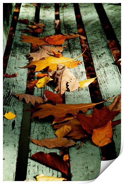 autumn Print by Matthias Betzer