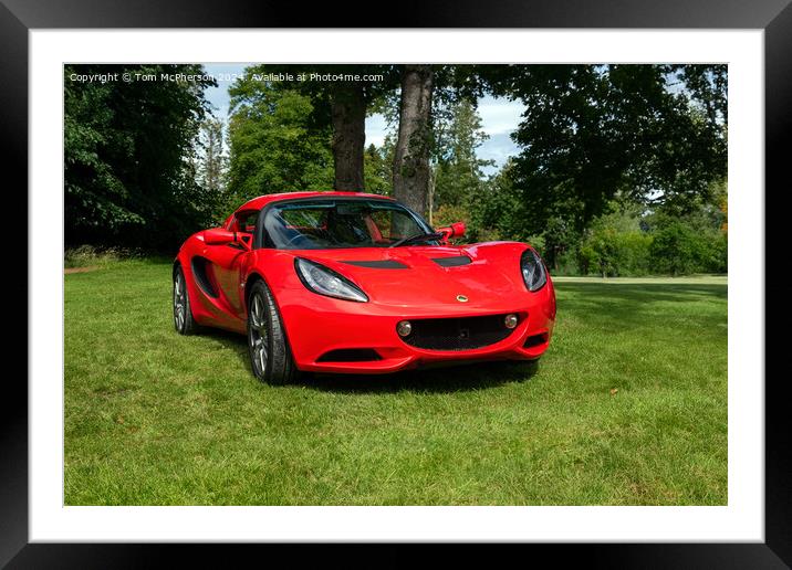 Stunning Classic Lotus Framed Mounted Print by Tom McPherson