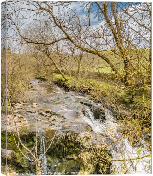 Waterfall on Langdon Beck, Teesdale Canvas Print by Richard Laidler