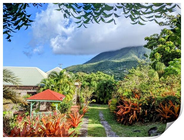 A tropical garden in the West Indies Print by Robert Galvin-Oliphant