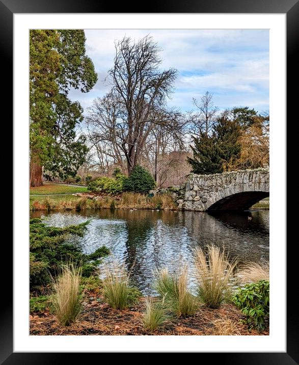 Park lake and old stone bridge  Framed Mounted Print by Robert Galvin-Oliphant