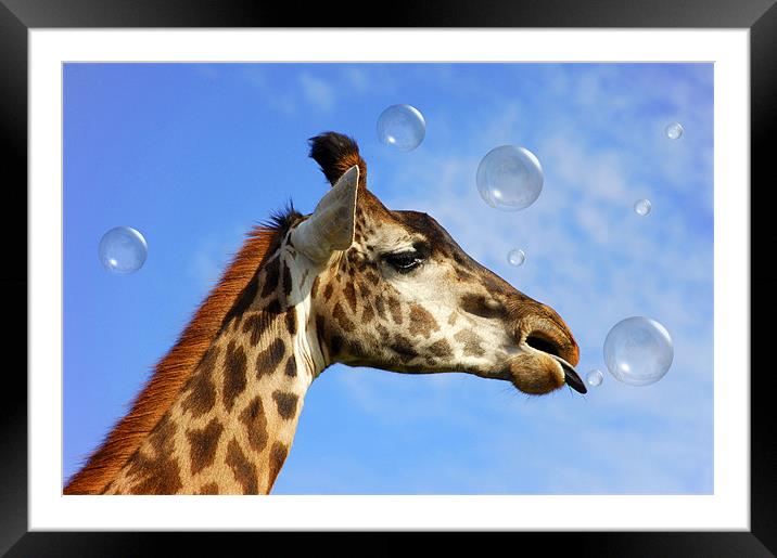 Catch A Bubble Framed Mounted Print by Elaine Manley