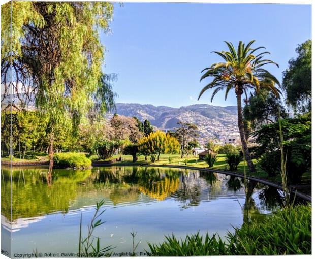 Pond in a Madeira Island park Canvas Print by Robert Galvin-Oliphant