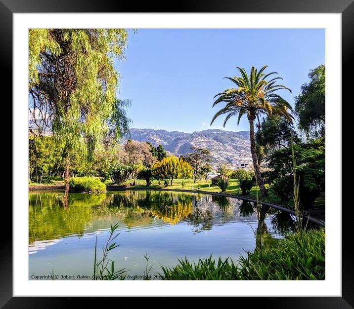 Pond in a Madeira Island park Framed Mounted Print by Robert Galvin-Oliphant
