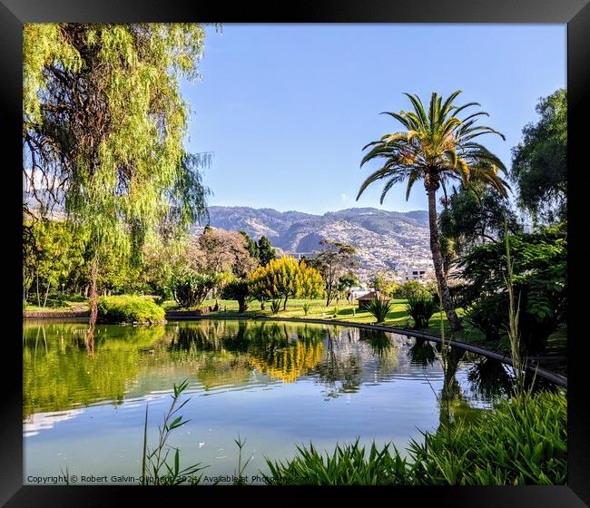 Pond in a Madeira Island park Framed Print by Robert Galvin-Oliphant