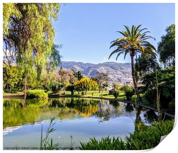 Pond in a Madeira Island park Print by Robert Galvin-Oliphant