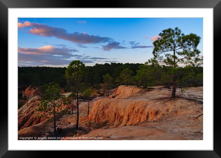 Quiet Pine Trees at Twilight in Algarve Framed Mounted Print by Angelo DeVal