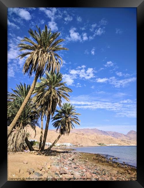 Palms on a Dahab, Egypt beach Framed Print by Robert Galvin-Oliphant