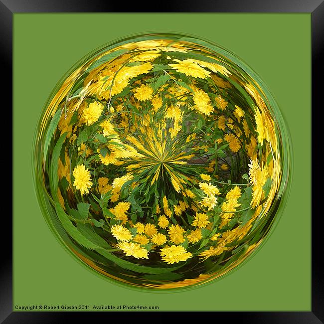 Abstract Yellow flower paperweight Framed Print by Robert Gipson