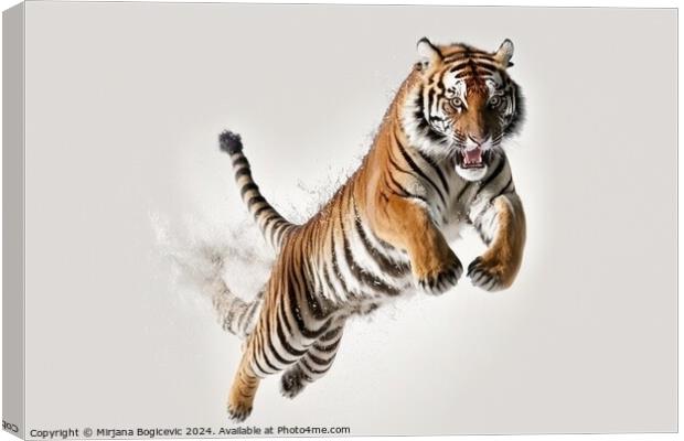 Tiger in jump on white background Canvas Print by Mirjana Bogicevic