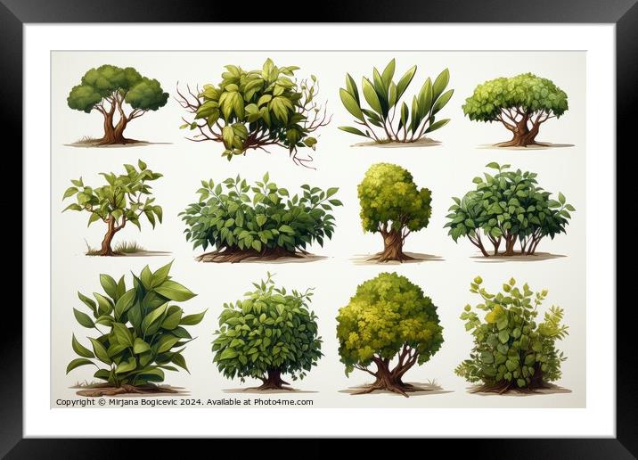 Exquisite Collection of Stylized Bush Elements Framed Mounted Print by Mirjana Bogicevic