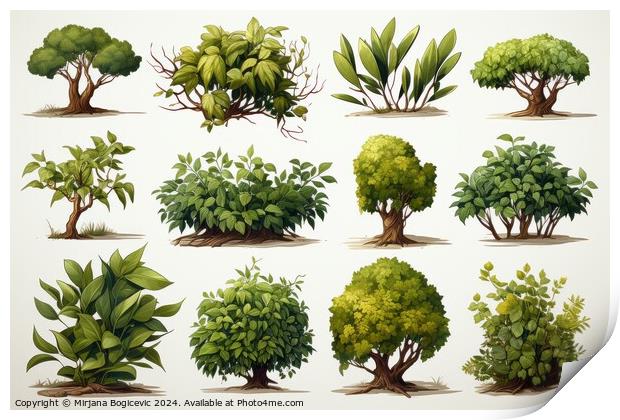 Exquisite Collection of Stylized Bush Elements Print by Mirjana Bogicevic