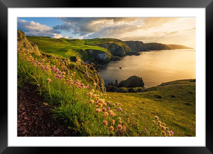 St Abbs  Framed Mounted Print by Don Alexander Lumsden