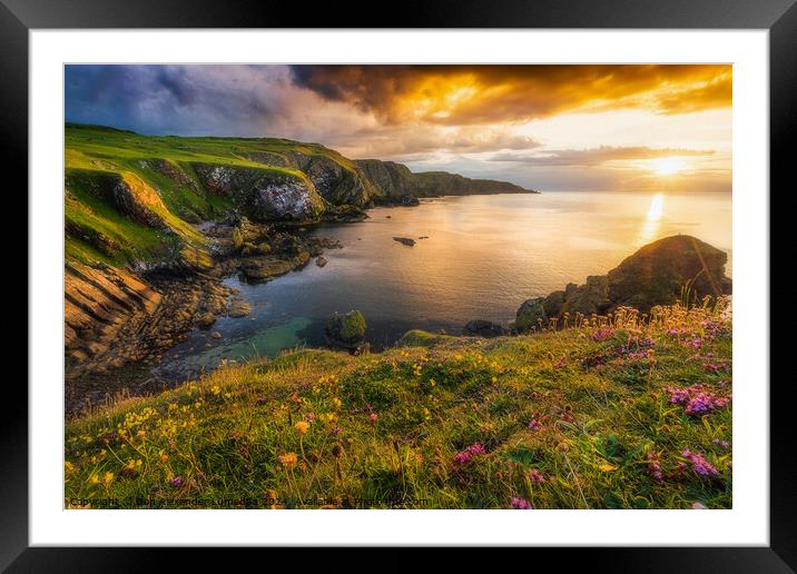 St Abbs view Framed Mounted Print by Don Alexander Lumsden