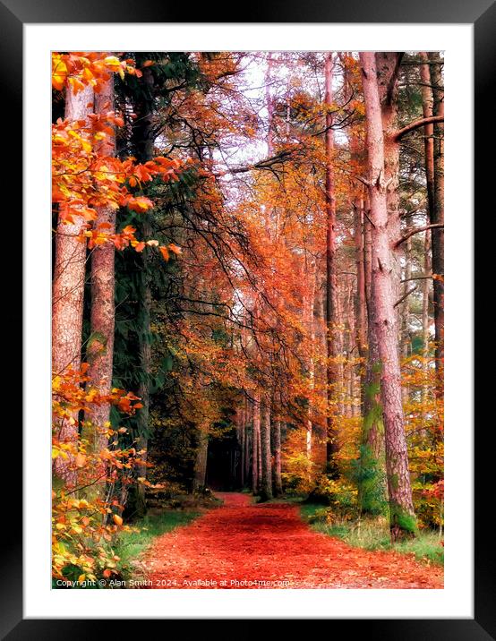 Woodland Trail Framed Mounted Print by Alan Smith