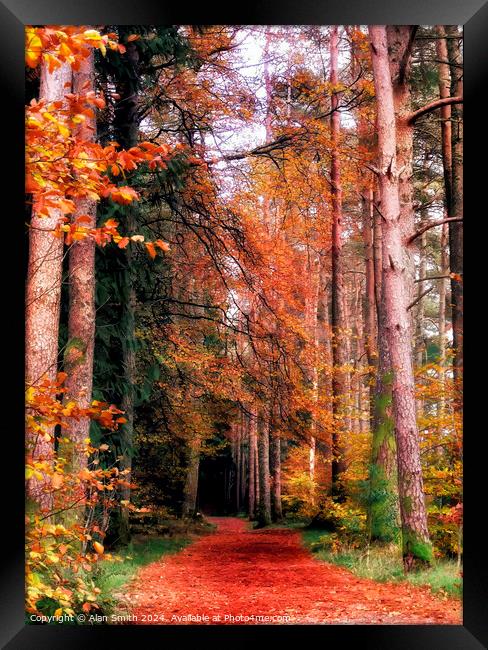 Woodland Trail Framed Print by Alan Smith