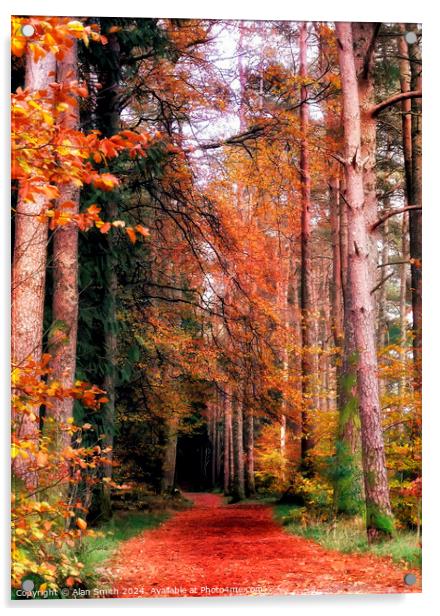 Woodland Trail Acrylic by Alan Smith