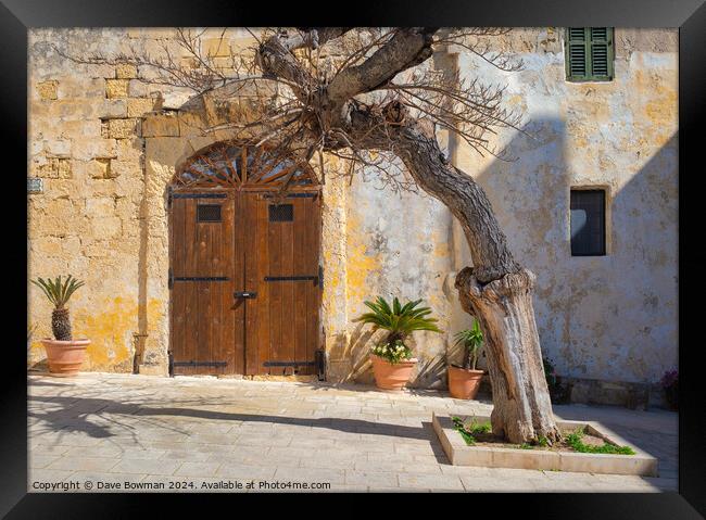 Pjazza Mesquita Mdina Framed Print by Dave Bowman