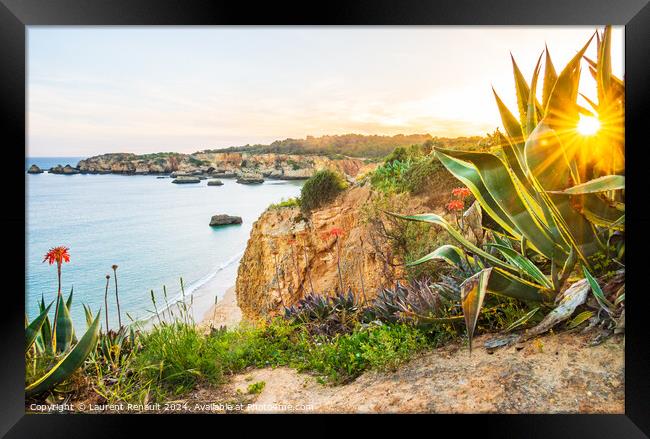 Praia do Alemão overlooked from the rugged flowery coastline  n Framed Print by Laurent Renault