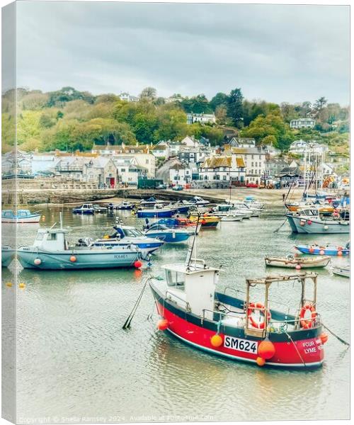 The Harbour Lyme Regis Canvas Print by Sheila Ramsey
