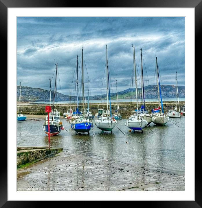 Sailing Yachts Lyme Regis Framed Mounted Print by Sheila Ramsey