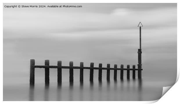 Fine Art Groynes Print by Steve Morris