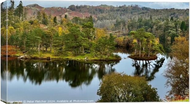 Tarn Hows Lake District  Canvas Print by Peter Fletcher