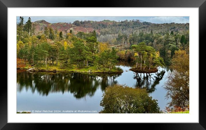 Tarn Hows Lake District  Framed Mounted Print by Peter Fletcher
