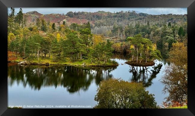 Tarn Hows Lake District  Framed Print by Peter Fletcher