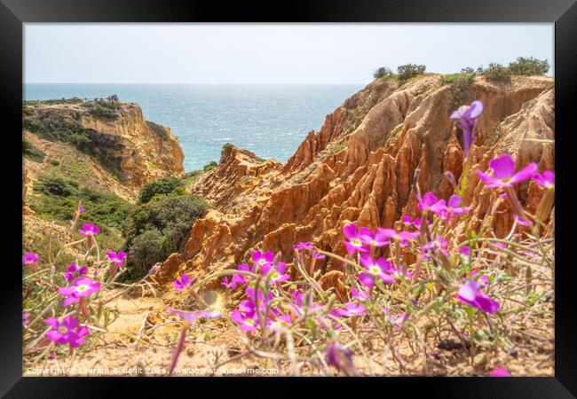 Cliffs and nature in spring near Benagil, Portugal Framed Print by Laurent Renault