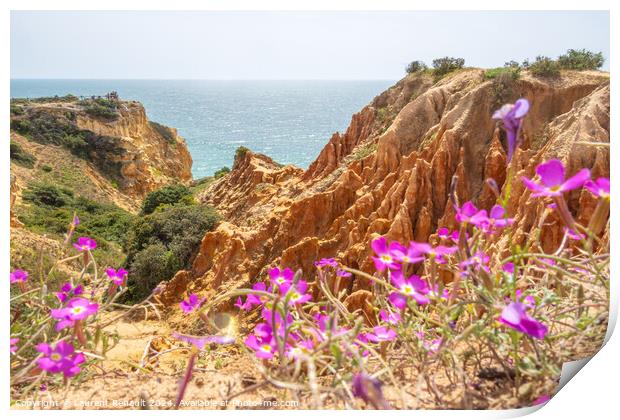 Cliffs and nature in spring near Benagil, Portugal Print by Laurent Renault