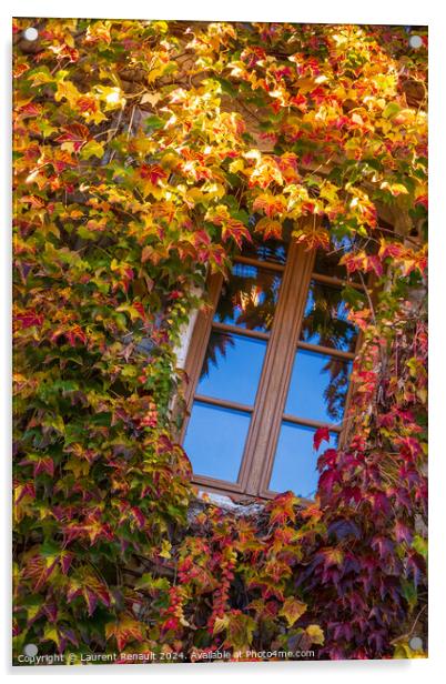 Window surrounded by the ivy with autumn facade Acrylic by Laurent Renault