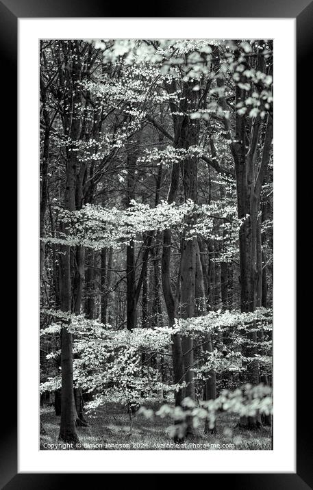 A tree in a forest Framed Mounted Print by Simon Johnson