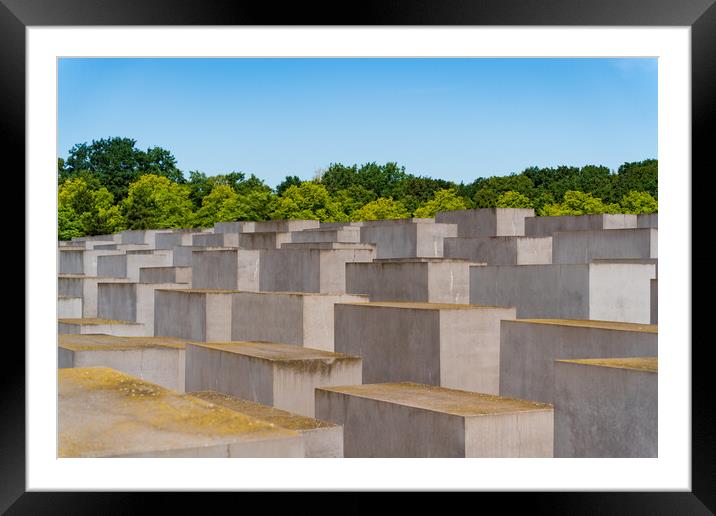 Memorial to the Murdered Jews of Europe in Berlin, Germany Framed Mounted Print by Chun Ju Wu