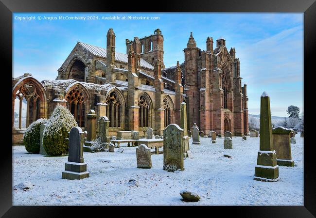 Ruins of Melrose Abbey in snow, Scottish Borders Framed Print by Angus McComiskey