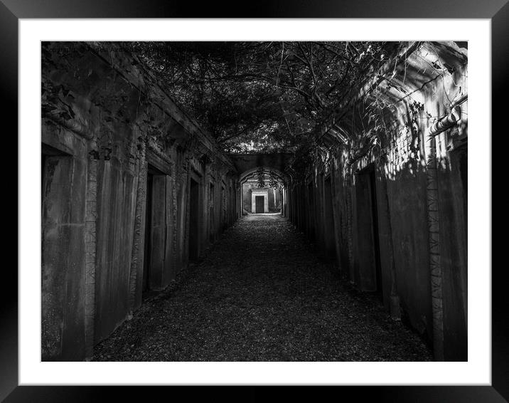 Highgate Cemetery. Framed Mounted Print by Angela Aird