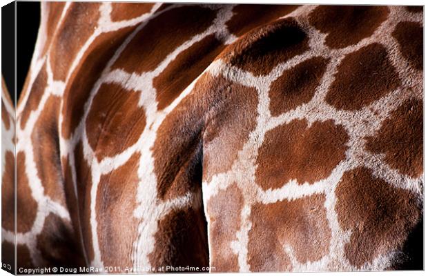 Giraffe hide Canvas Print by Doug McRae