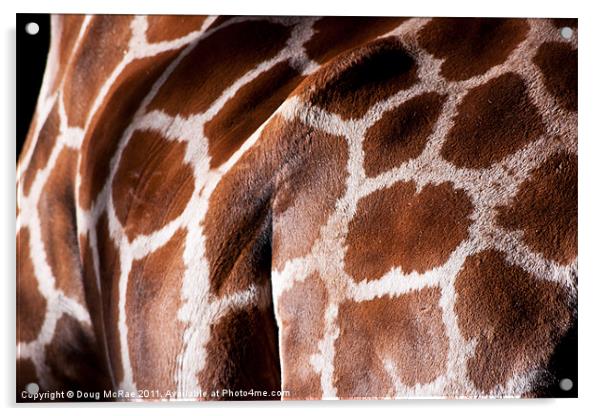 Giraffe hide Acrylic by Doug McRae