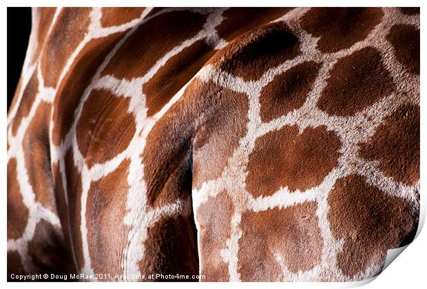 Giraffe hide Print by Doug McRae