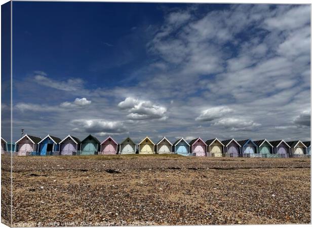 Beach huts in Mersea Canvas Print by JAMES UMNEY