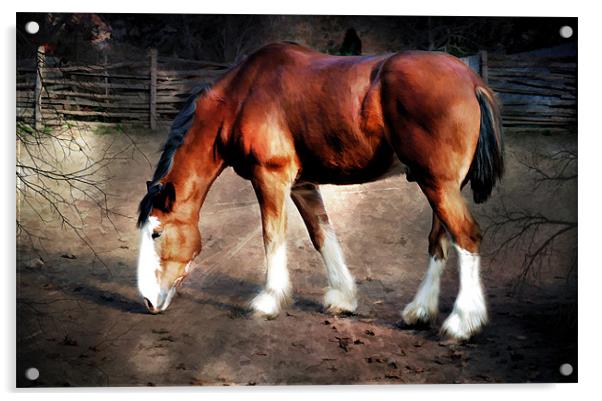 The Clydesdale Acrylic by Elaine Manley