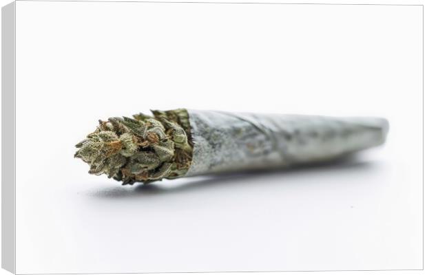 A medical cannabis joint on a white background. Canvas Print by Michael Piepgras