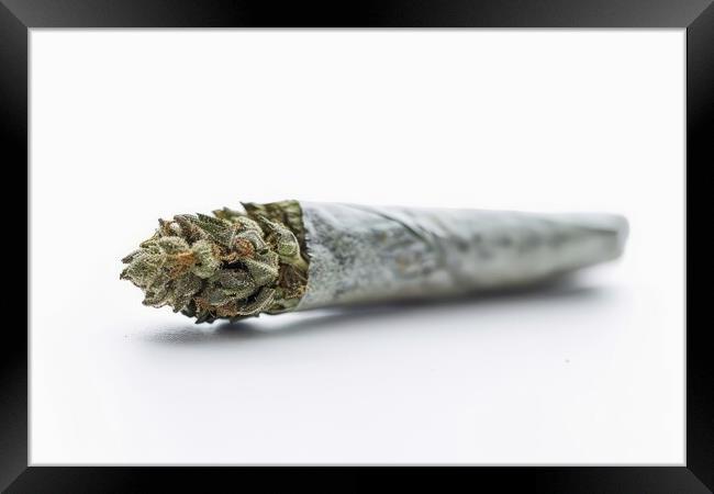 A medical cannabis joint on a white background. Framed Print by Michael Piepgras