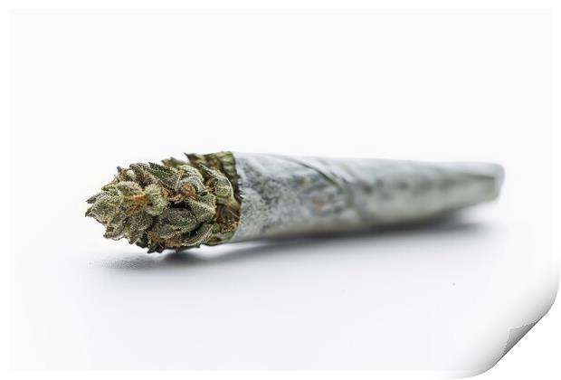 A medical cannabis joint on a white background. Print by Michael Piepgras