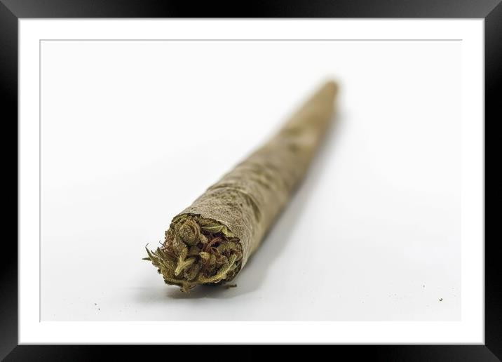 A medical cannabis joint on a white background. Framed Mounted Print by Michael Piepgras