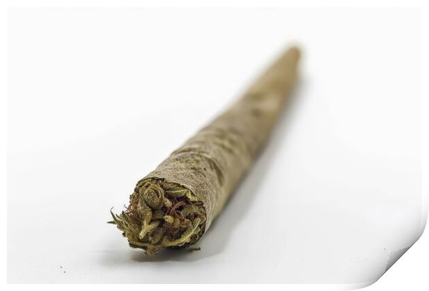 A medical cannabis joint on a white background. Print by Michael Piepgras