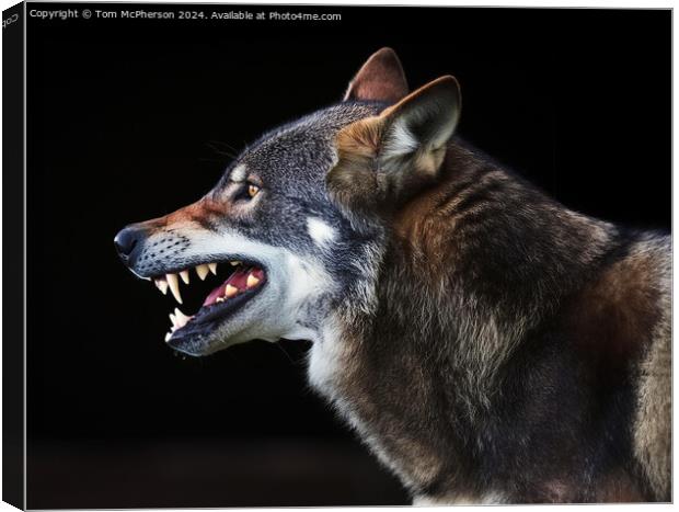 Angry Wolf Canvas Print by Tom McPherson