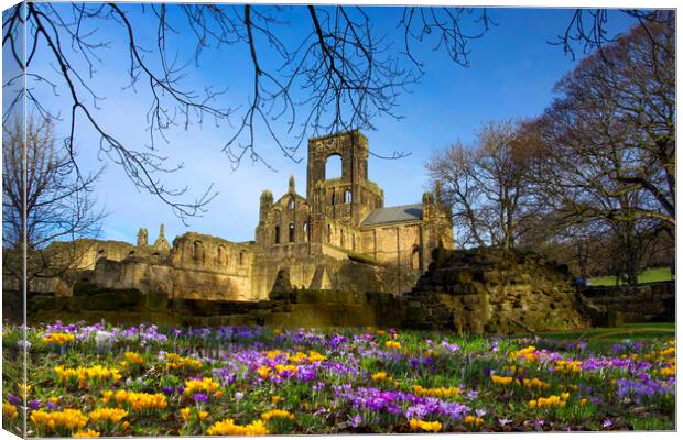 Kirkstall Abbey Leeds Canvas Print by Alison Chambers