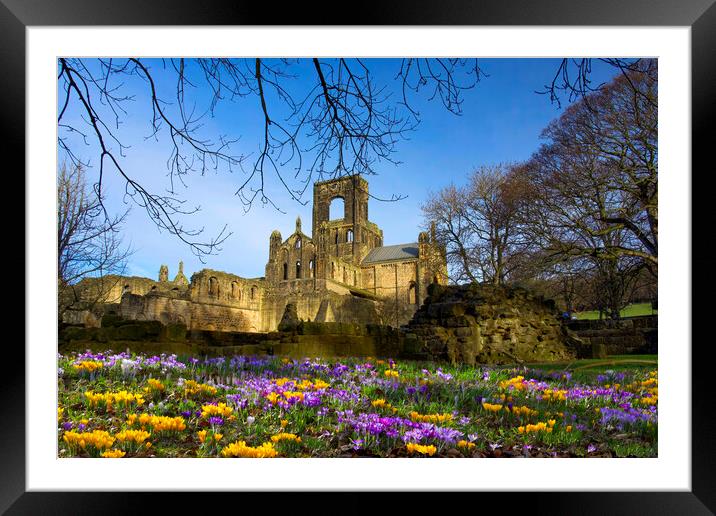Kirkstall Abbey Leeds Framed Mounted Print by Alison Chambers