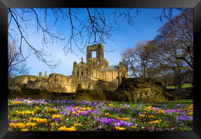 Kirkstall Abbey Leeds Framed Print by Alison Chambers